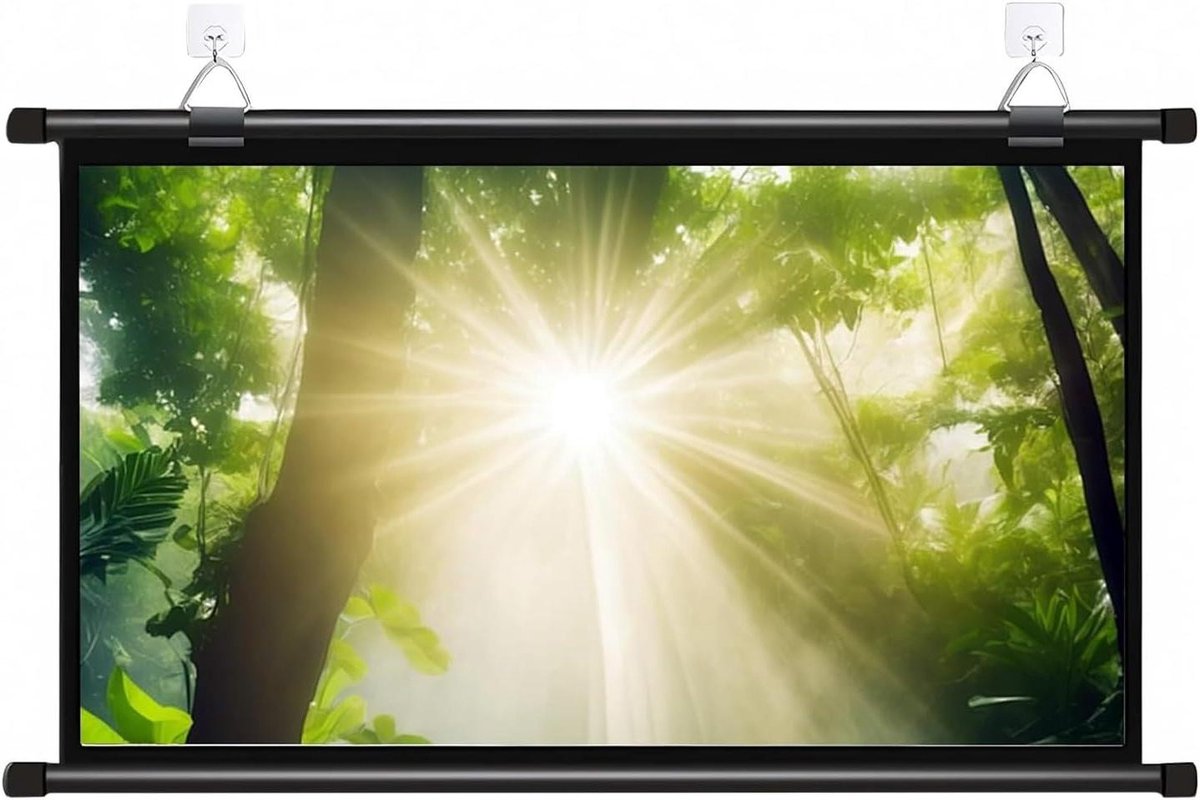 Projectiescherm Handmatig - Uittrekbaar Scherm - Thuisbioscoop - Oogbeschermend Mat - 30-72 inch - Wit