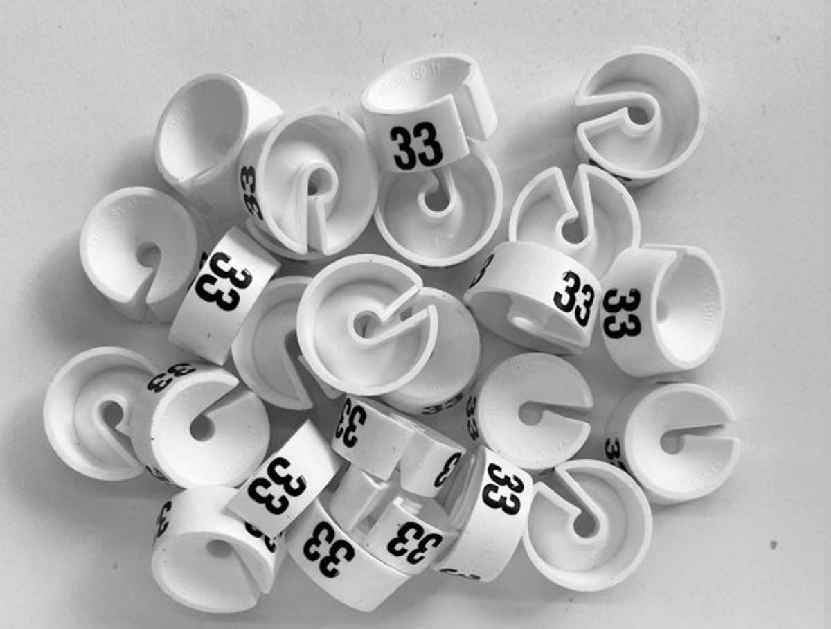 Bleijenberg Maatdopje maat 33 wit - Maataanduiding voor kledinghangers per 25 stuks - Maatringetje Ø 20 mm - Kledinghangers - Kleerhanger - Kapstok - Mark-Brics - wisersizer