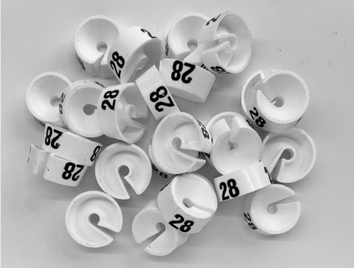 Bleijenberg Maatdopje maat 28 wit - Maataanduiding voor kledinghangers per 25 stuks - Maatringetje Ø 20 mm - Kledinghangers - Kleerhanger - Kapstok - Mark-Brics - wisersizer