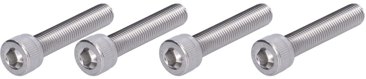 Dailygoods- Hex Bout - 4 Stuks - A2 Roestvrij Staal - DIN 912 - Hoofd Diameter 16 mm - Draaddiameter 10 mm - Steek 1,25 mm - Zeskantbout
