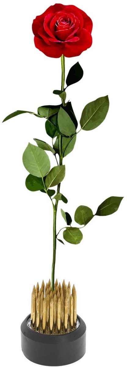 Dailygoods- Bloemenkikker Goud - Koperen Kikkers - Bloemenstandaard - Speld 26 mm - Bloemstukken - Hoogwaardige Materialen - Bloemschikking