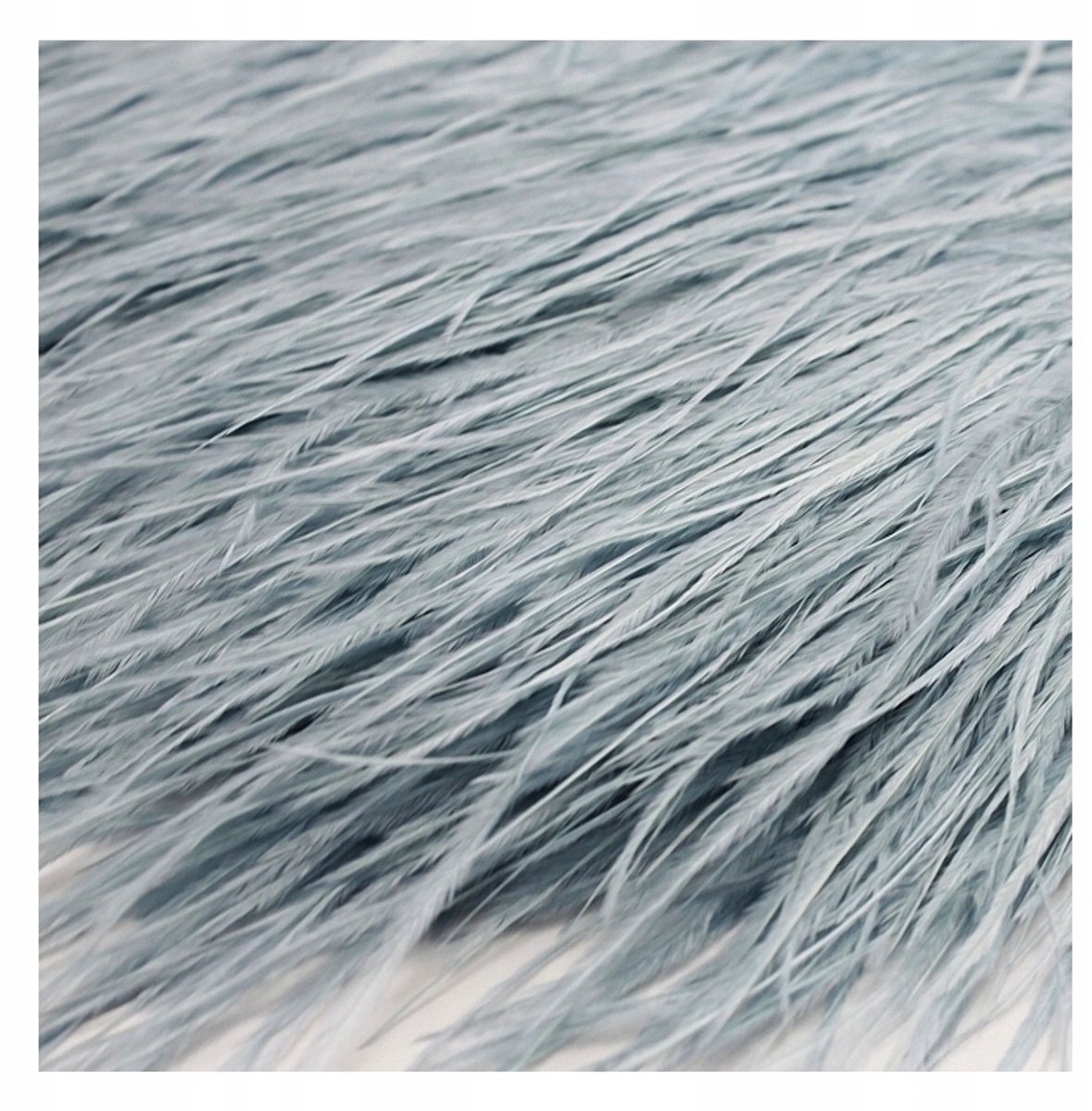 Struisvogelveren op band - 10-15cm - Licht Denim - 1 meter