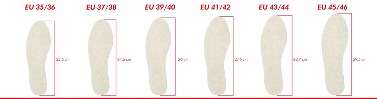 MIŚ Wolwollen Inlegzolen met Actieve Kool - Maat 39-40