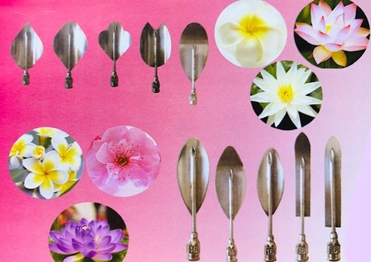 Set Spuit & Tips voor 3D Gelei Bloemen Decoraties