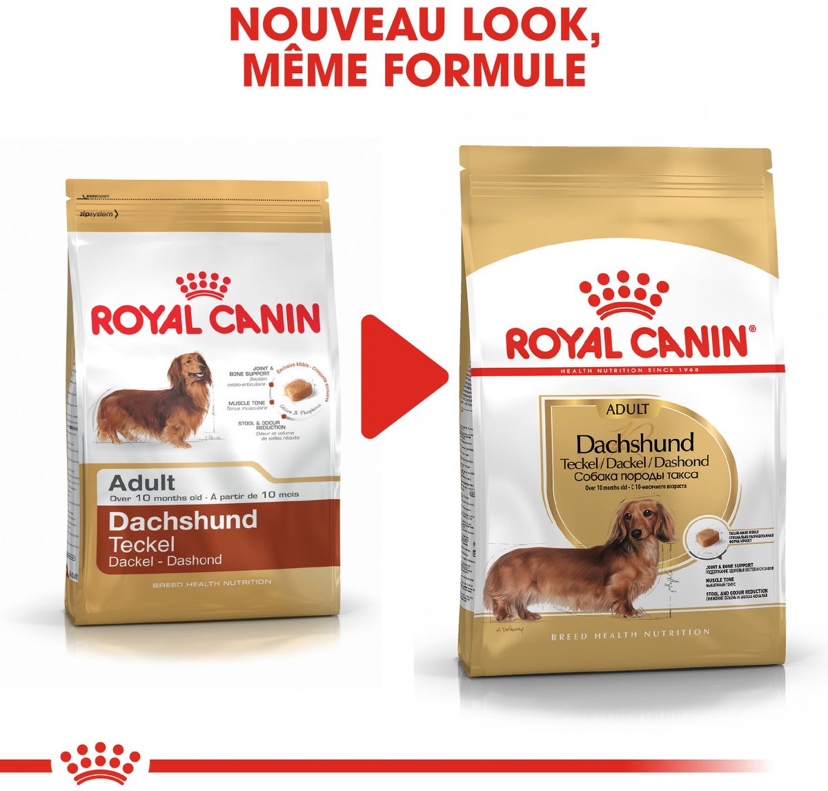 Royal Canin Dachshund Adult - Rasspecifiek voer voor teckels thumbnail 3