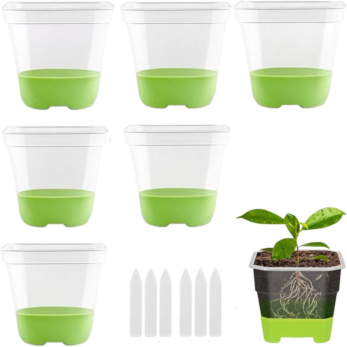 6 stuks - Zaadbakjes - Transparante vierkante zaadbakjes van plastic - Vierkante zaadpotjes - Plantenkweekbakjes - Groen - Transparante zaadpotjes - Met plantenlabels - Geschikt voor zaailingen en bloeiende planten