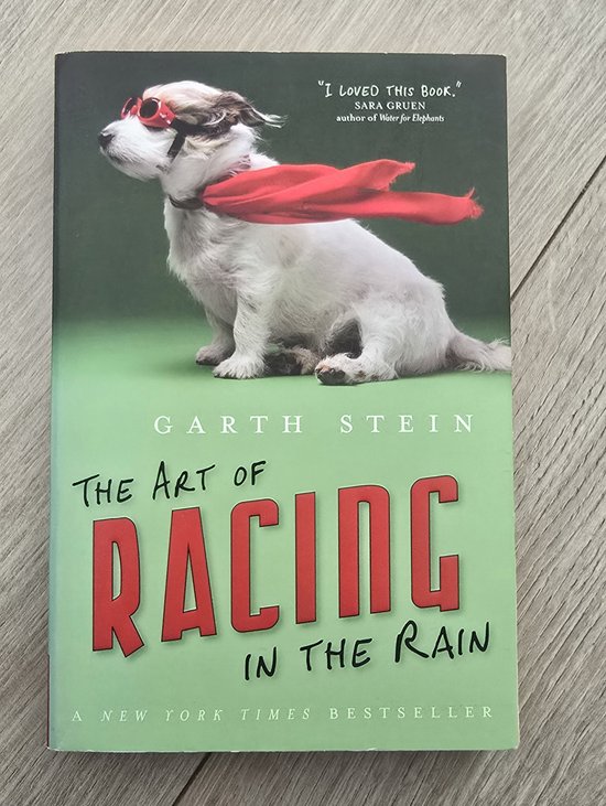 The Art of Racing in the Rain - cover