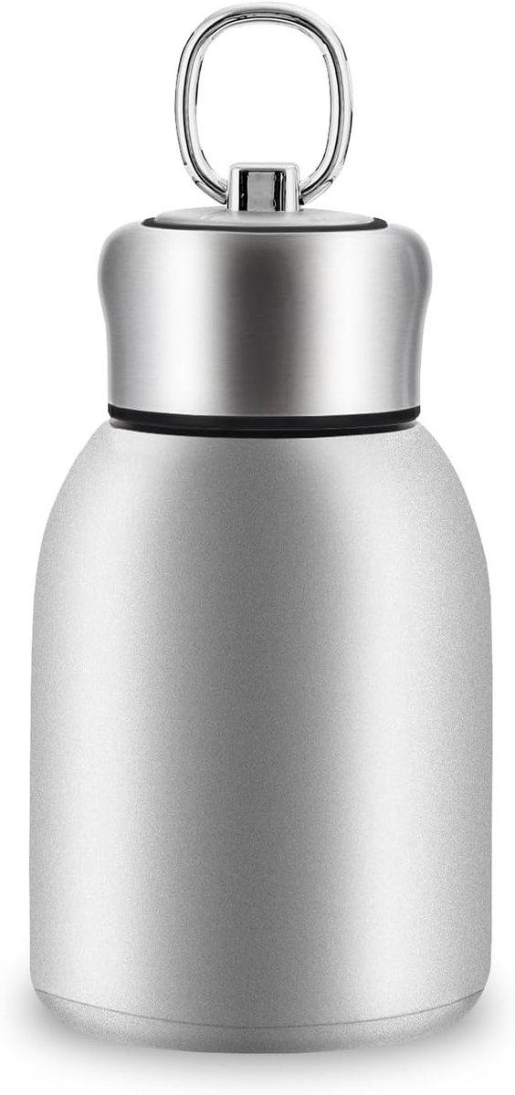 RVS Thermosfles 280ML - BPA-vrij, Draagbaar en Geschikt voor Warme en Koude Dranken