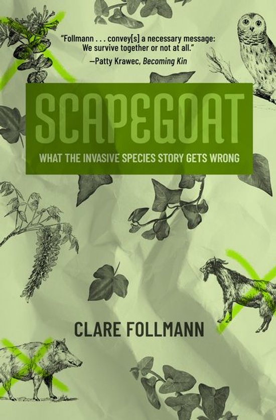 Scapegoat - cover