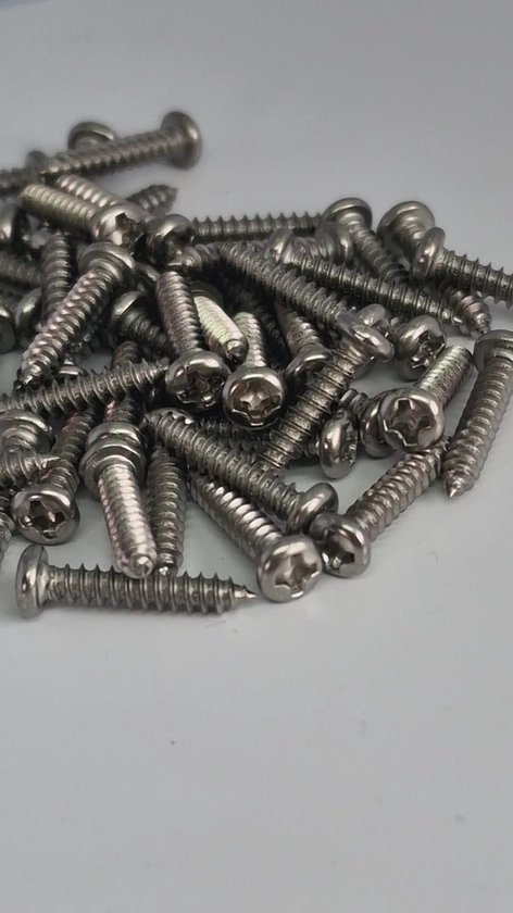 Han-Bar® 50x Phillips Pan Ronde Kop Zelfborende Houtschroef – RVS 304 (GB845)M3X16mm