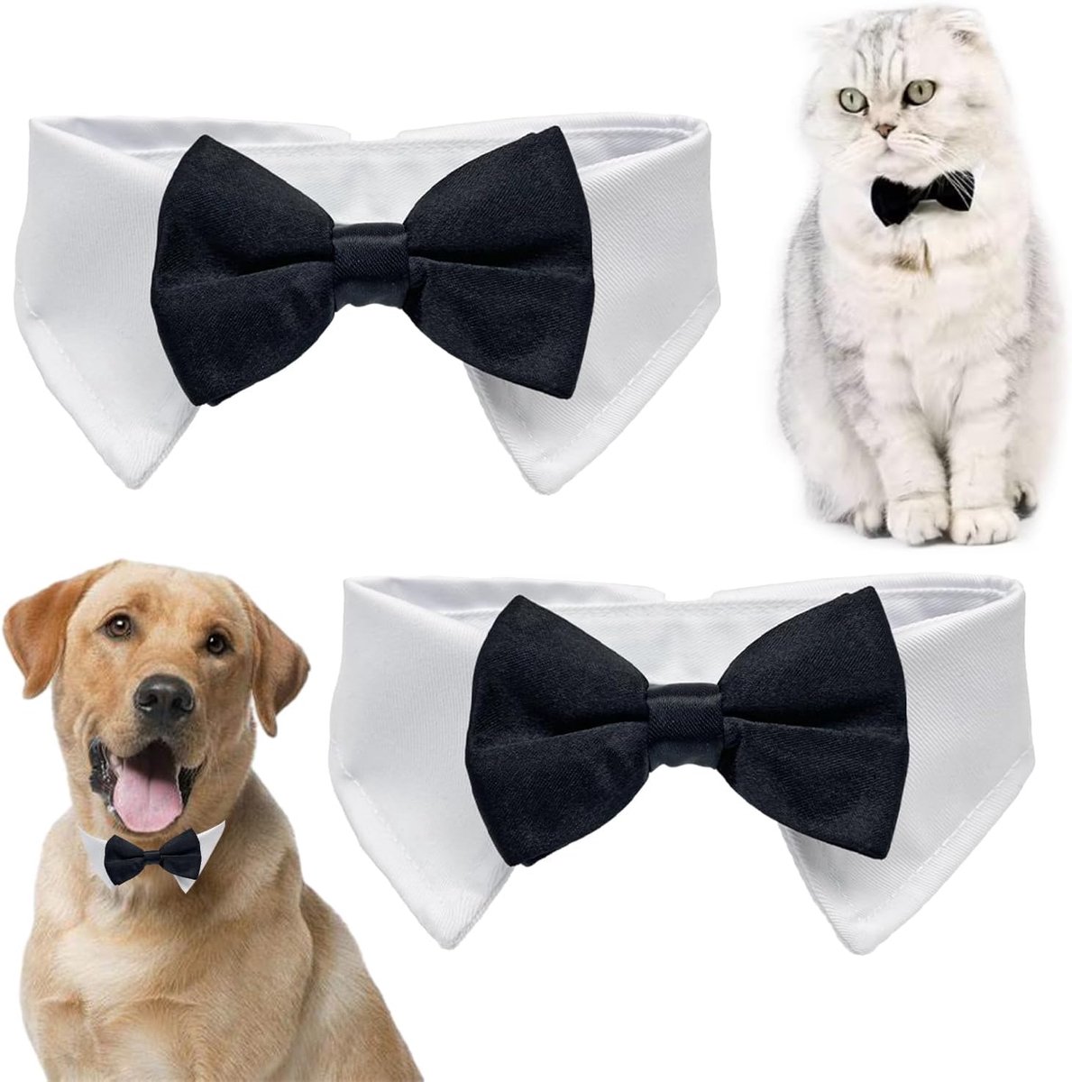 Honden Strik - Huisdier Kraag - Feestelijke Gelegenheid - Verstelbare Sluiting - 38 cm - Zwart