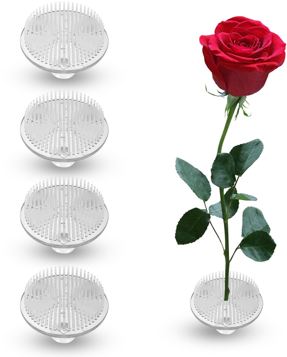 Allecto - Bloem Kikker - Bloemenhouder - Transparant - Bloemschikken - Decoratie voor planten - Set van 4
