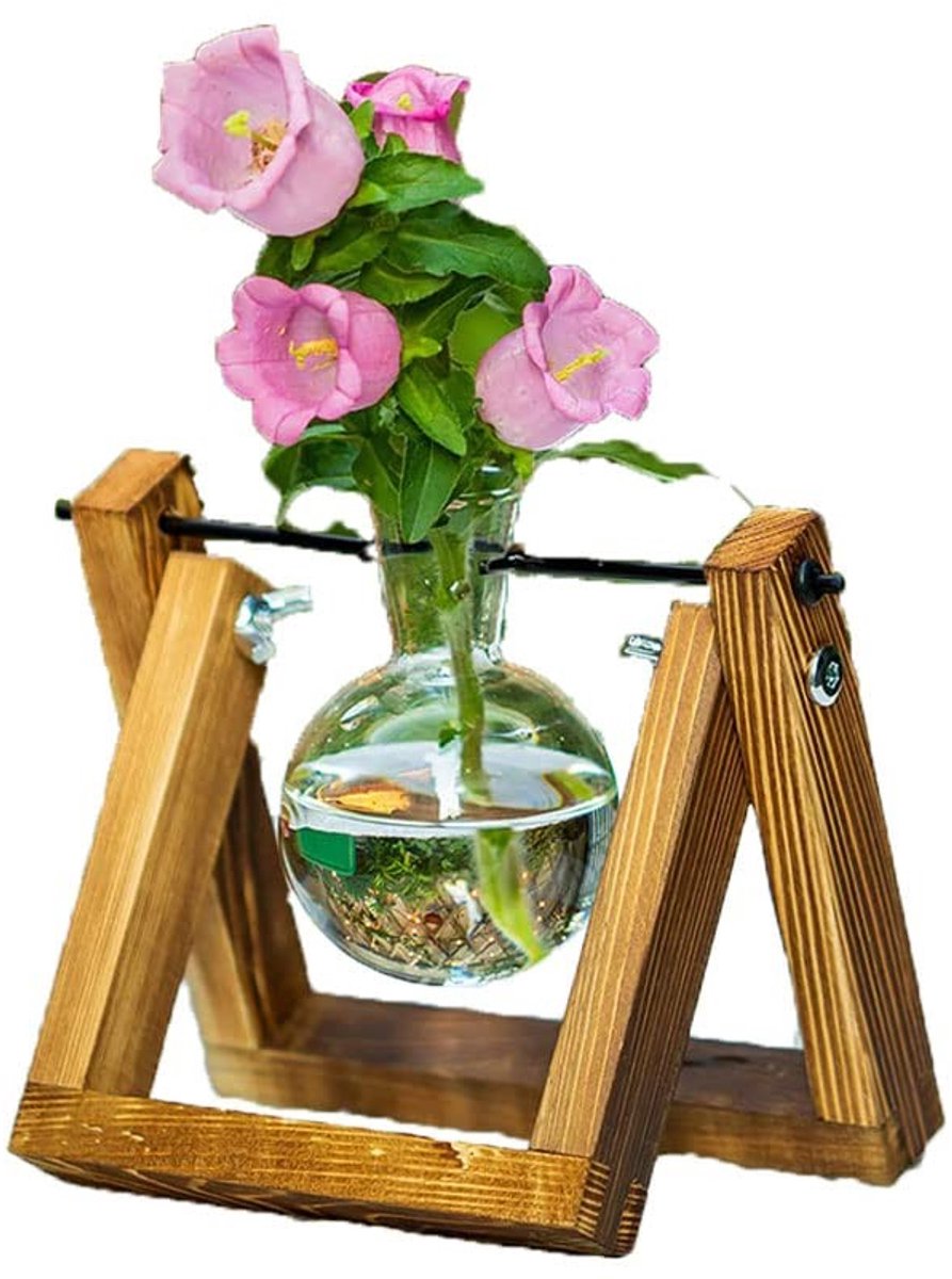 aladdien - Plantenterrarium - Hydrocultuur - Modern design - Houten rek - Creatieve decoratie - Perfect voor binnen - Glas