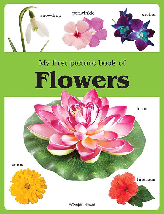 My First Picture Book of Flowers - cover