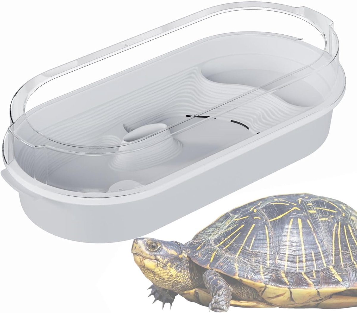 Kleine Schildpad Tank - Reptielen Habitat - Kleine Huisdieren - Vier Gebieden - 35x20x15 cm - Helder
