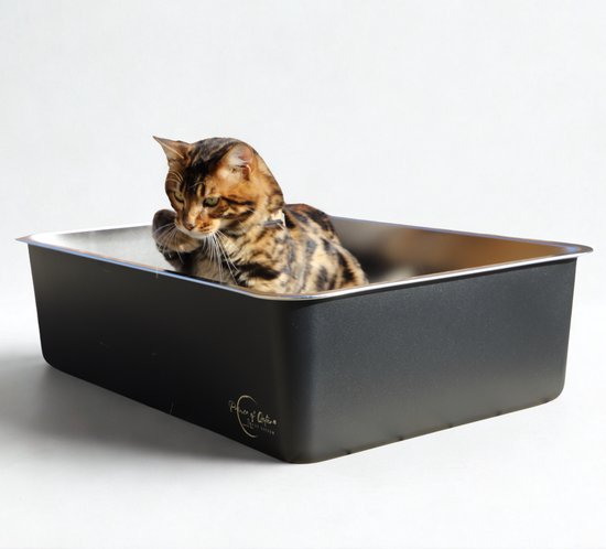 Cat Litter Prince of Qatar® | RVS Kattenbak 60x40x20 cm | Stainless steel | Zwart Gecoat | Voor Grote en Kleine Katten | Hygiënisch en Duurzaam