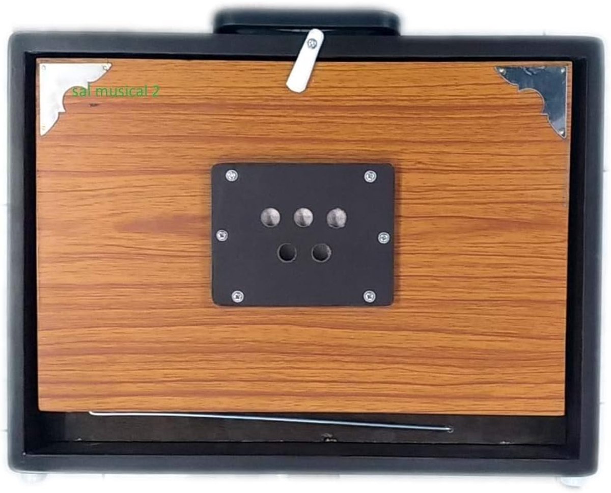 Shruti Box - Harmonium Draagbaar - Muziek Maken - Inclusief Draagtas - 40x30x7.5 cm - Natuurlijk