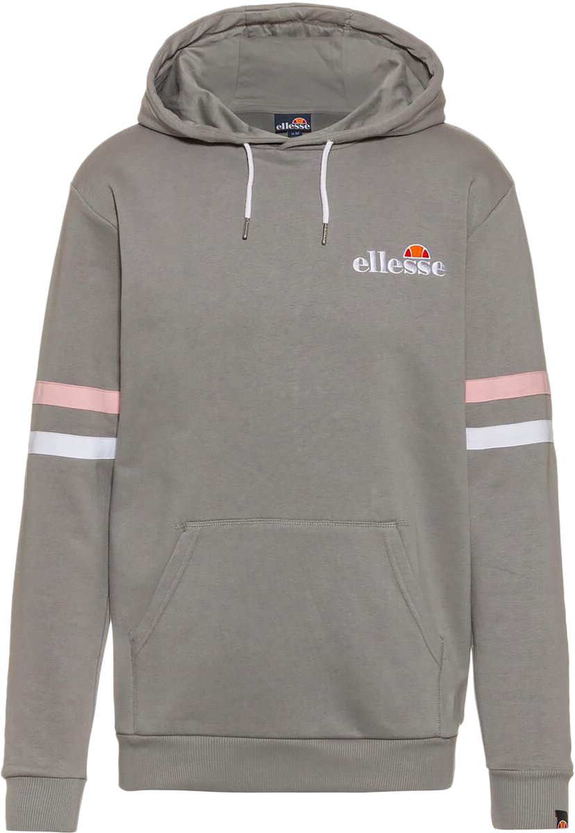Toto-hoodie Grijs