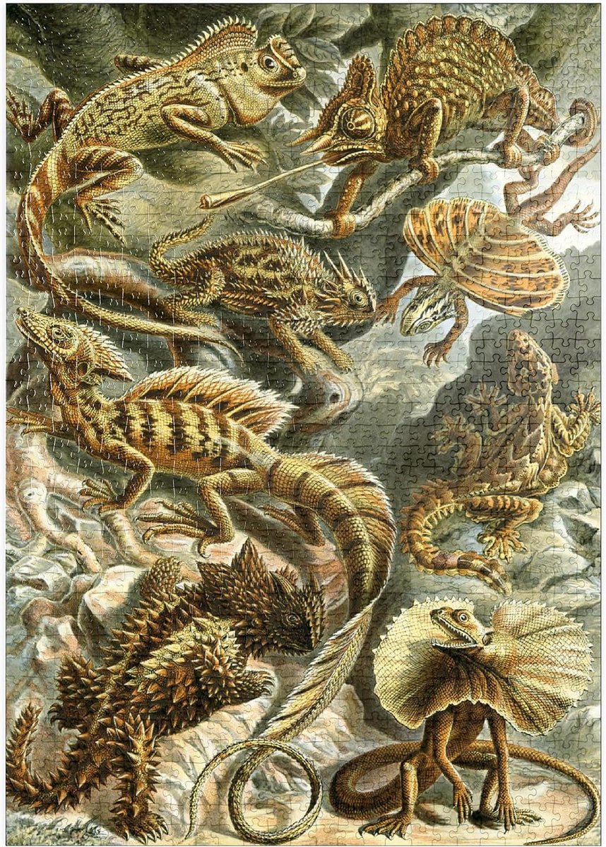 Puzzel Hagedissen - Natuurlijke Kunst - Ontspannen Puzzelen - Hoge Resolutie Print - 1000 Stukjes