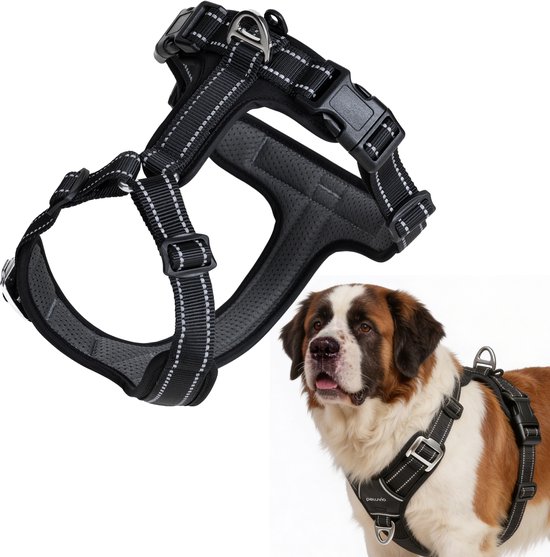 Harnais noir pour chien avec coutures réfléchissantes, à côté d'une image de Saint-Bernard.