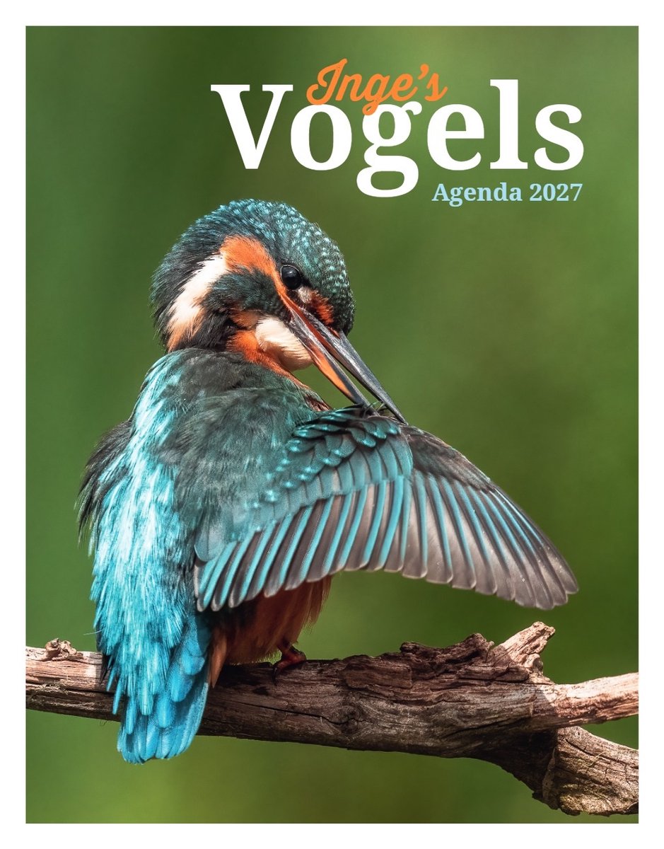 Inge’s vogels agenda 2027