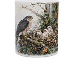 Mok - Sperwer (Accipiter nisus) met jongen in winters nest - Aquarel roofvogel panorama - Koffiebeker natuurliefhebber cadeau