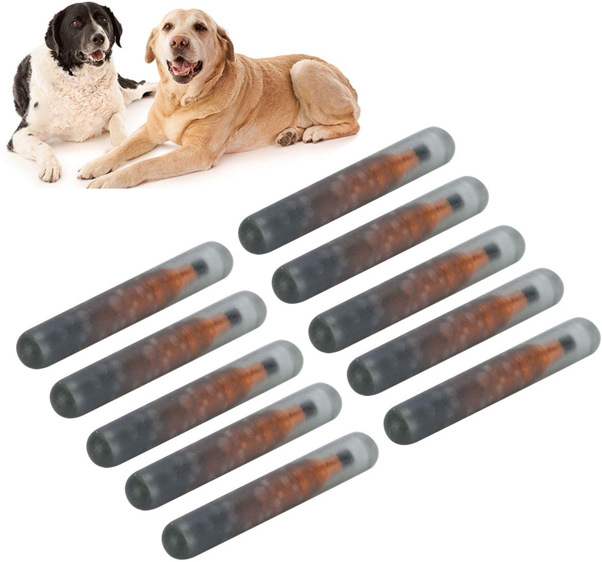 Dailygoods- Microchip 10 Stuks - Huisdier ID Microchip - Biologisch Glas - 134,2 KHz - Lichtgewicht - Antibacterieel - Dierenidentificatie