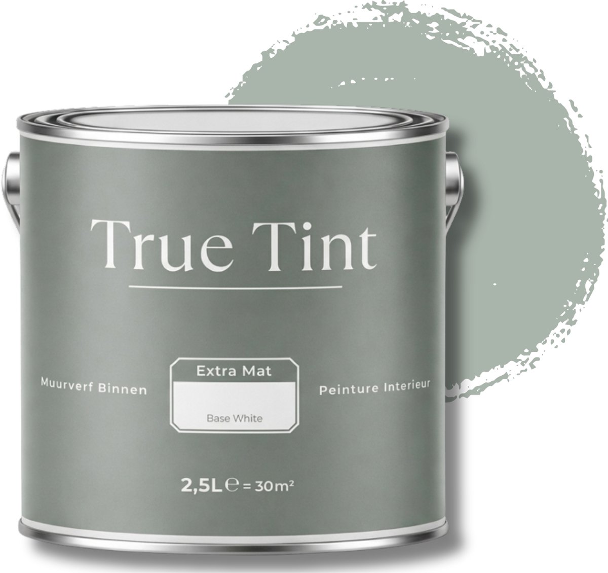 True Tint Muurverf Mat - Sage Green - 2,5 L - The Natural Harmony Collection - Groene Muurverf - Rendement 30m² - Saliegroene Matte Muurverf - Rustige Natuurlijke Verftint - Mengverf
