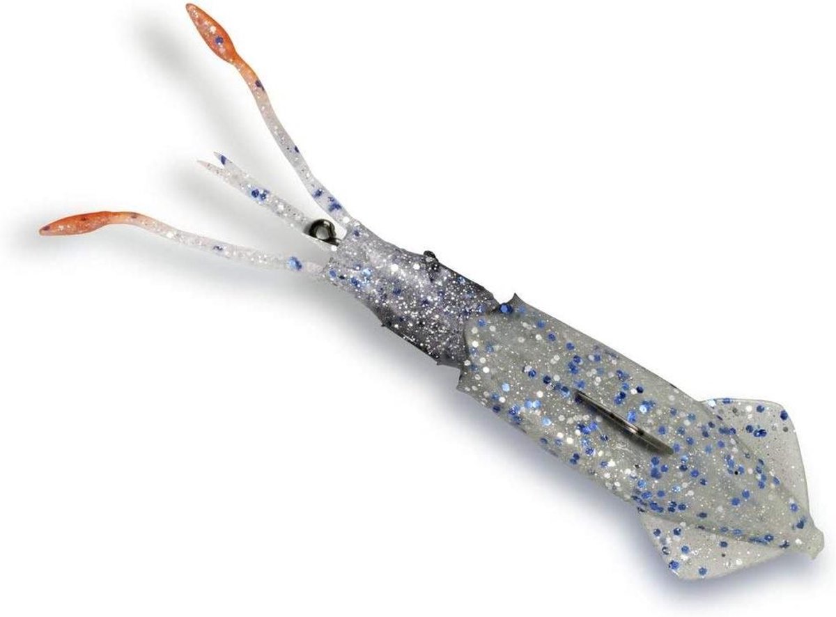 Vis Aas - Zeevissen Imitatie - Zeevis Visserij - Inwendig Verzwaard - 30cm 200g - Shiner