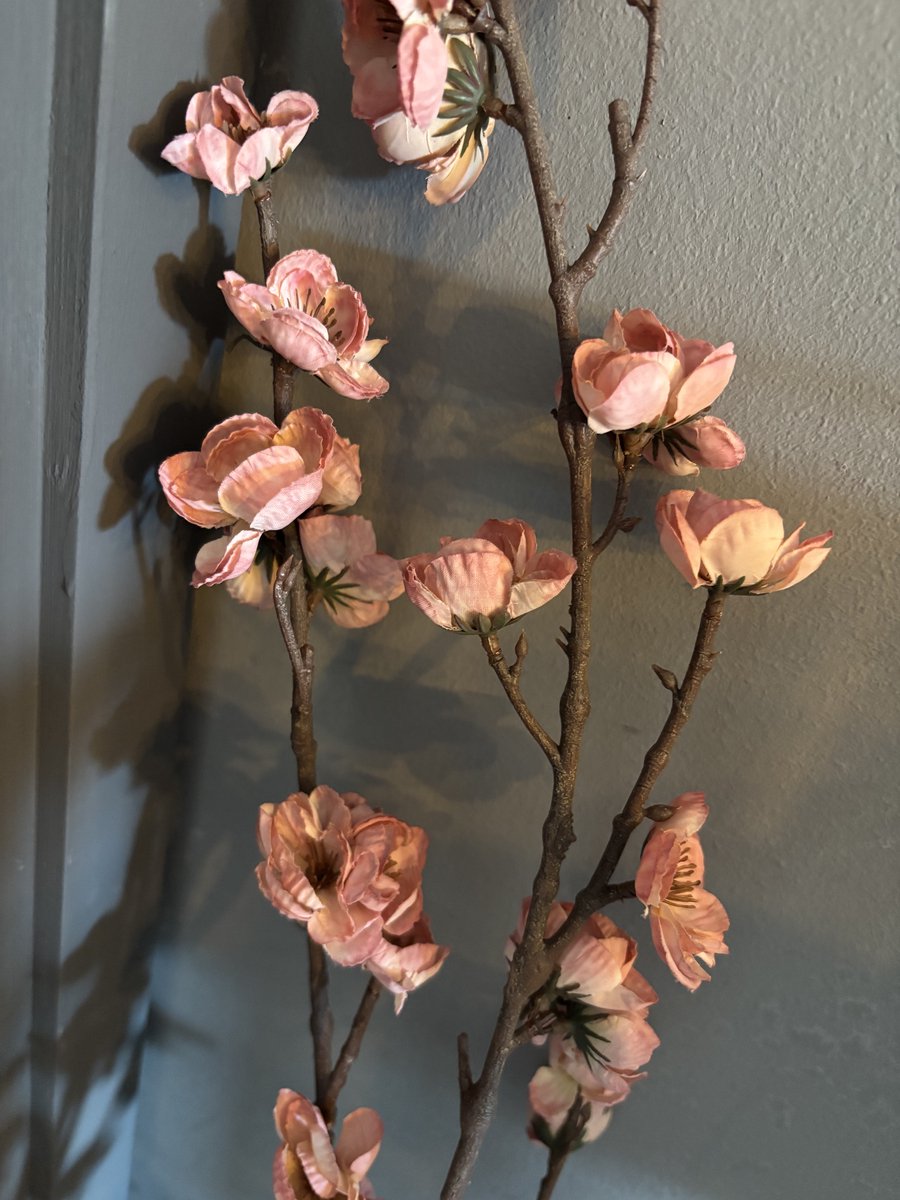 Decoratieve tak | Bloesem | Licht Roze | Decoratieve tak | Kunstbloem |Trendy | Woonaccessoires | Woonaccessoire | Boeket | Bloemen | Lente | Pasen | Woon | Wonen | Woninginrichting | Trendy | Trending | Accessoire | Woondecoratie