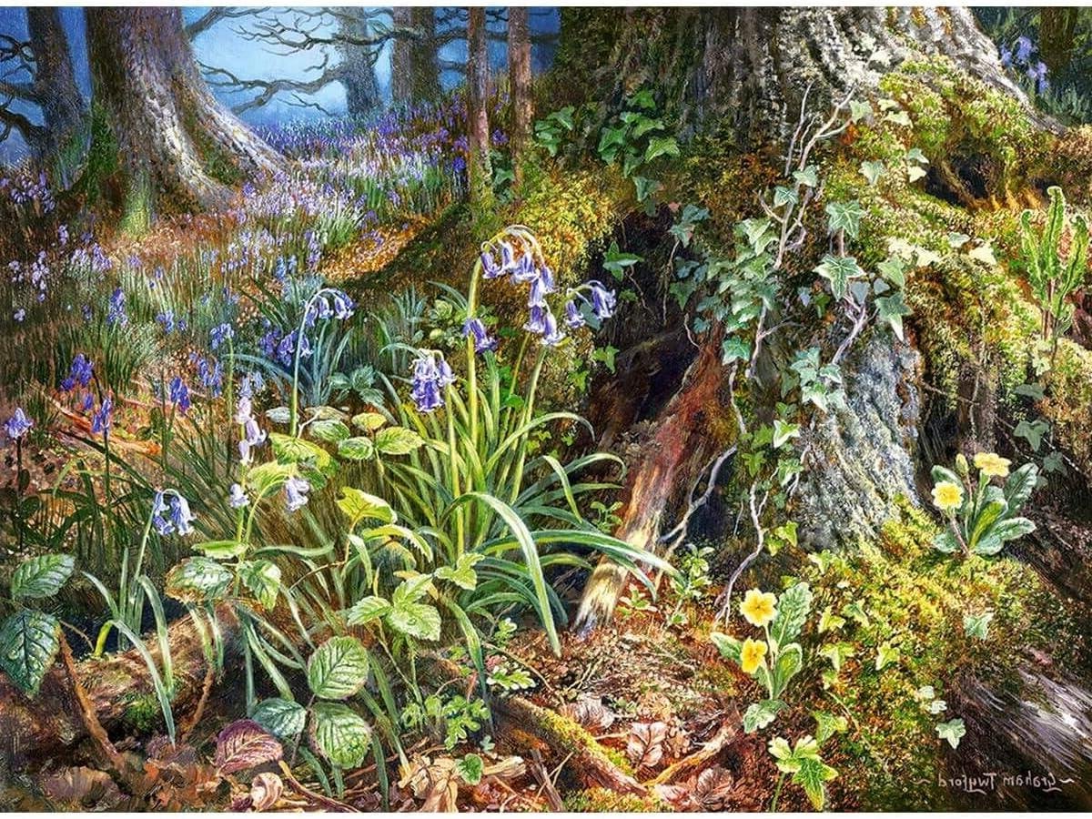 Puzzel 2000 stukjes - Legpuzzel Jigsaw - Ontspanning Thuis - Grote Afmeting - 92 x 68 cm - Meerkleurig