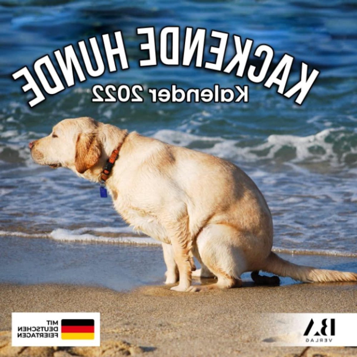 Honden Kalender - Grappige Kalender - Cadeau Idee - 12 Maanden Humor - 21.59 x 21.59 cm - Niet gespecificeerd