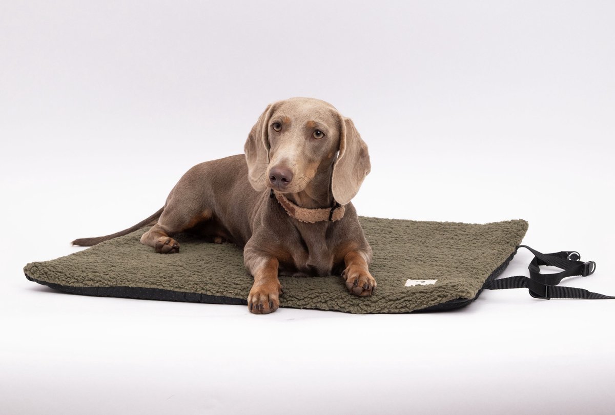 Reiskleed teddy olive M - Hondenkleed - Kleedje - Kussen hond - Deken hond - Mat hond - Hondenkussen - Hondenkleed auto achterbank - Hondenkleed bank - Kleed hond - Teddy - Trimmi