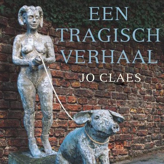 Een tragisch verhaal - cover