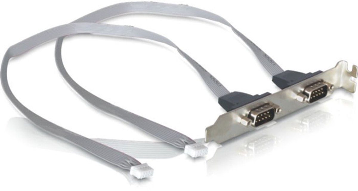 Delock - slot bracket - Seriell 2xPort (2mm)