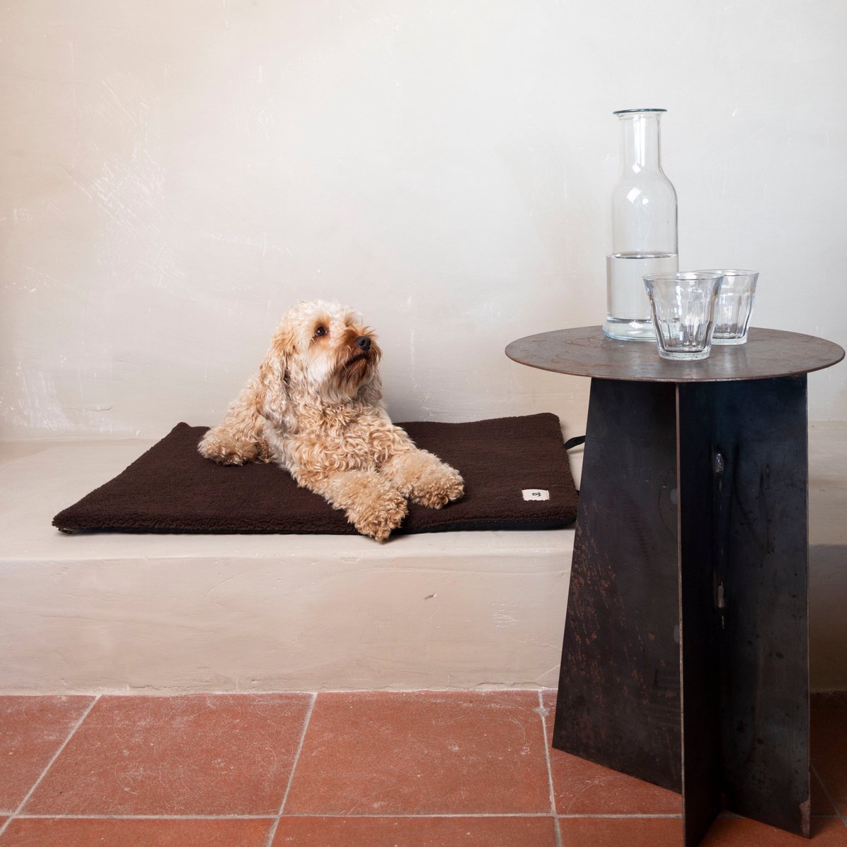 Reiskleed teddy chocolate M - Hondenkleed - Kleedje - Kussen hond - Deken hond - Mat hond - Hondenkussen - Hondenkleed auto achterbank - Hondenkleed bank - Kleed hond - Teddy - Trimmi