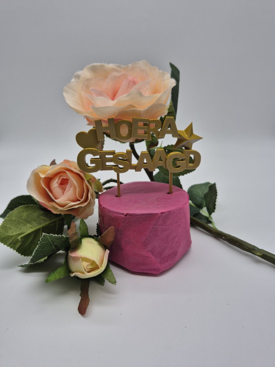 Caketopper Hoera Geslaagd goud- zilver