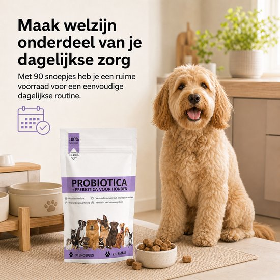 Goudkleurige doodle hond zittend naast een verpakking 'Probiotica + Prebiotica voor Honden' en een bakje met brokjes.