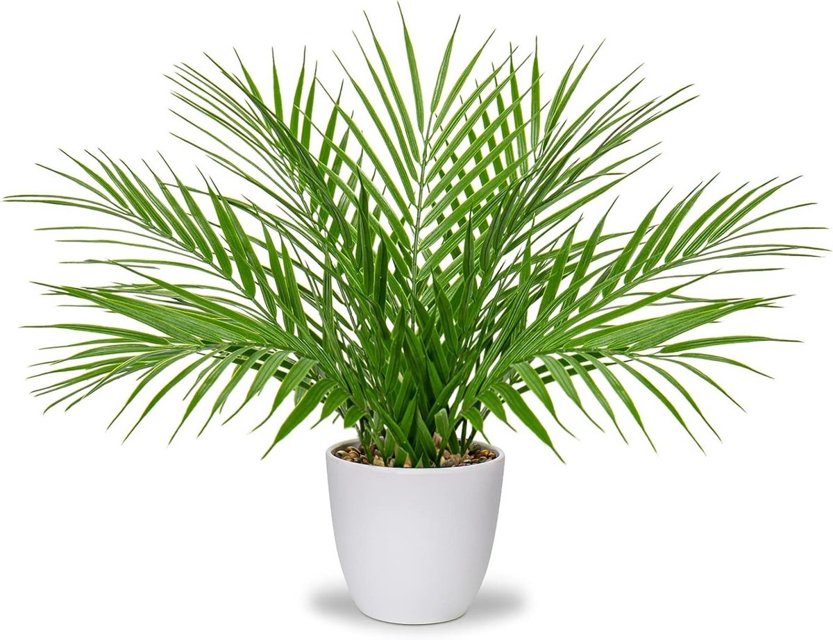 Kunstplanten voor Binnen 38cm - Realistische Palmplanten in Witte Potten voor Decoratie in Huis, Kantoor, Slaapkamer en Keuken