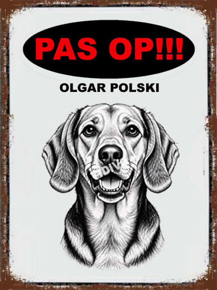 Ogar Polski 17