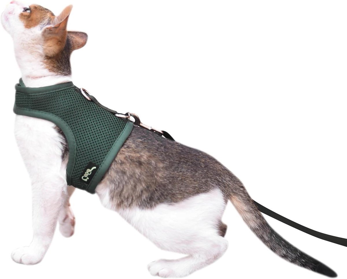 Kattenharnas en Riem - Wandelharnas Kat - Buiten Wandelen - Ontsnappingsbestendig Ontwerp - Maat M - Groen