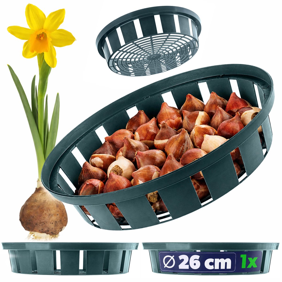 KADAX plantmand Ø 26 cm voor bloembollen, kunststof plantenbak, woelmuizenbescherming voor tulpen, narcissen en andere bolgewassen, zaaibak