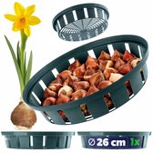 KADAX plantmand Ø 26 cm voor bloembollen, kunststof plantenbak, woelmuizenbescherming voor tulpen, narcissen en andere bolgewassen, zaaibak