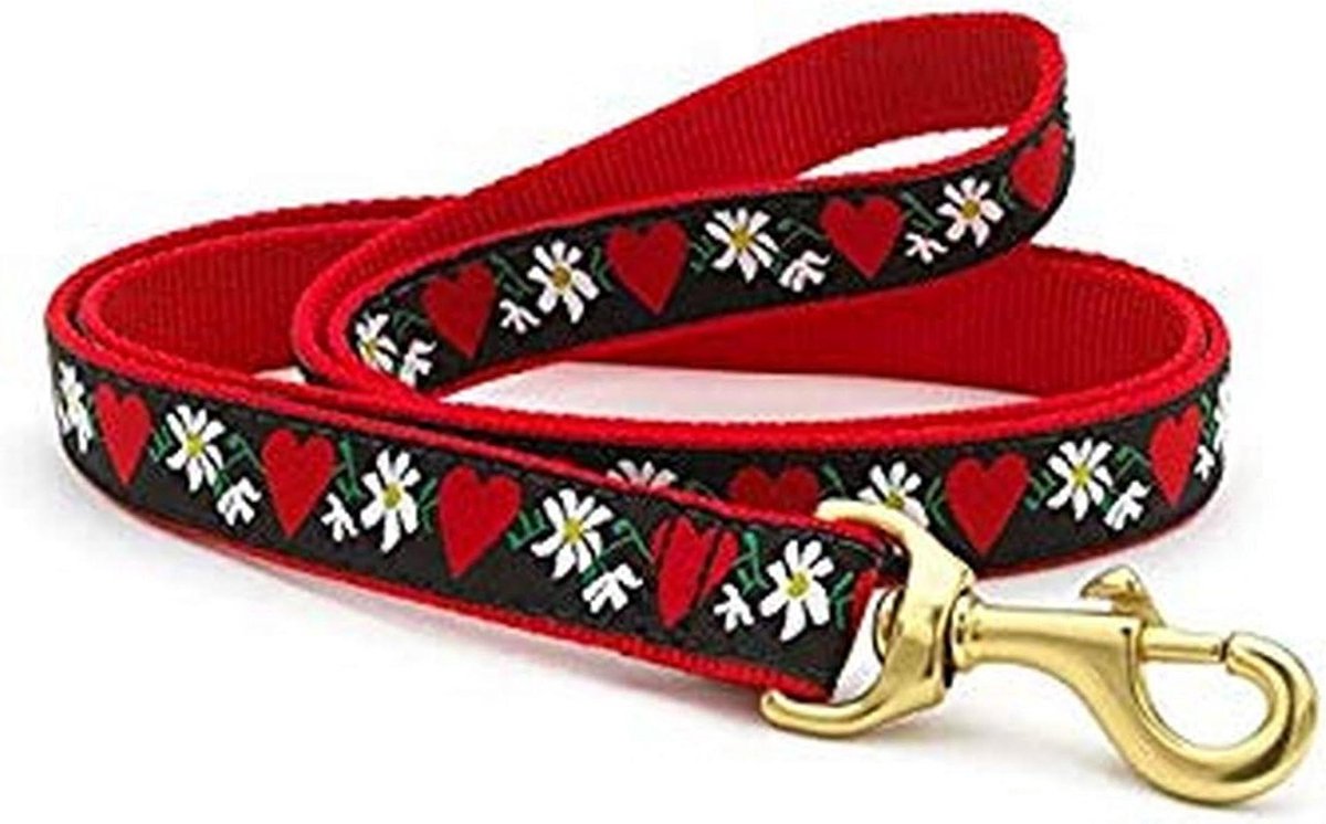 Hondenlijn - Hondenriem - Veilig Uitlaten - Sterk Nylon Materiaal - 25 cm x 183 cm - Rood/Zwart