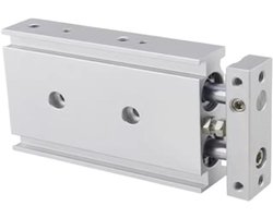 Pneumatische Cilinder - Dubbele Staaf - Industriële Automatisering - Met Magneet - 60mm Slag - Metaal