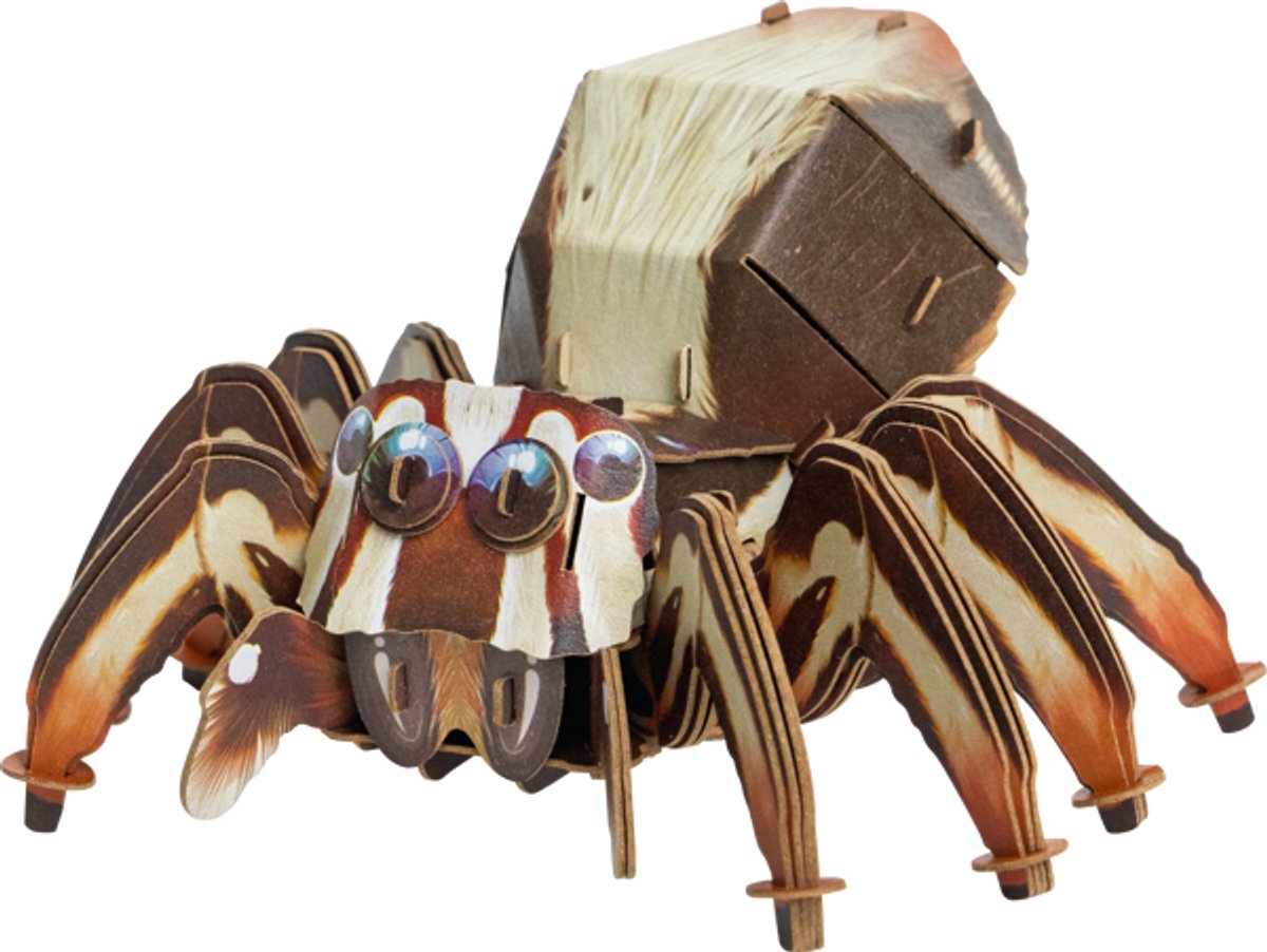 MakeBug, 3D Modelbouwpakket, Jumping spider, MB-D-0054, 11x13x8cm