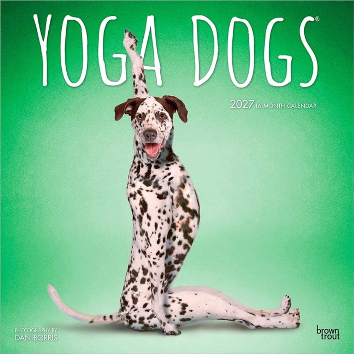 Yoga Dogs Kalender 2027