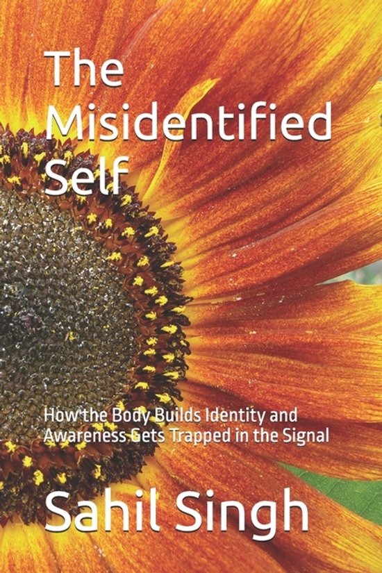 The Misidentified Self - cover