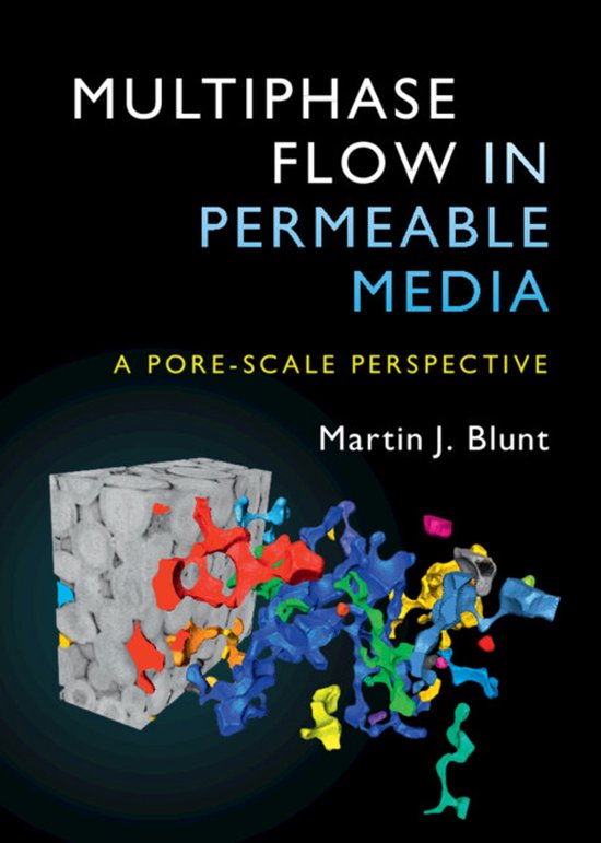 Multiphase Flow in Permeable Media - cover