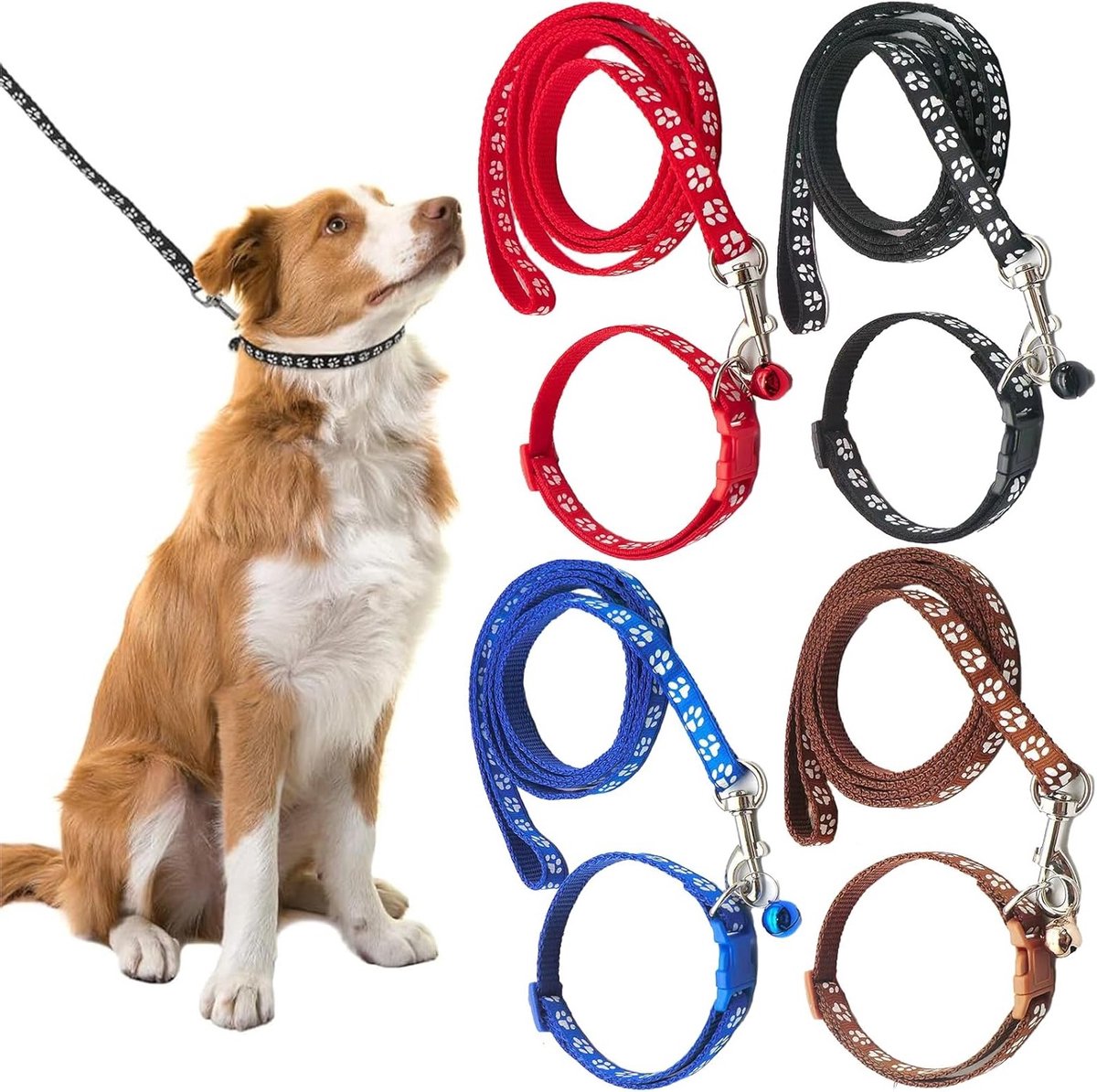 Hond Halsband en Leash Set - Verstelbare Nylon Halsband - Geschikt voor Puppies en Kleine Honden